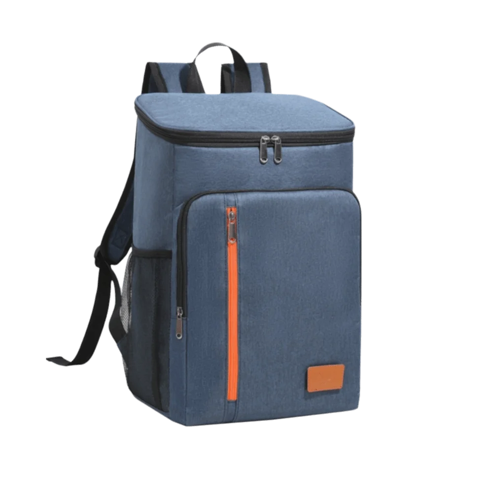 Insulated Backpack Double Shoulder Thickened Portable