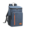 Insulated Backpack Double Shoulder Thickened Portable