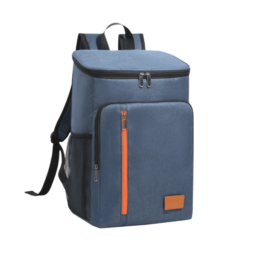 Insulated Backpack Double Shoulder Thickened Portable