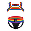 Sexy Mens Harness Underwear Sets Gay Underwear