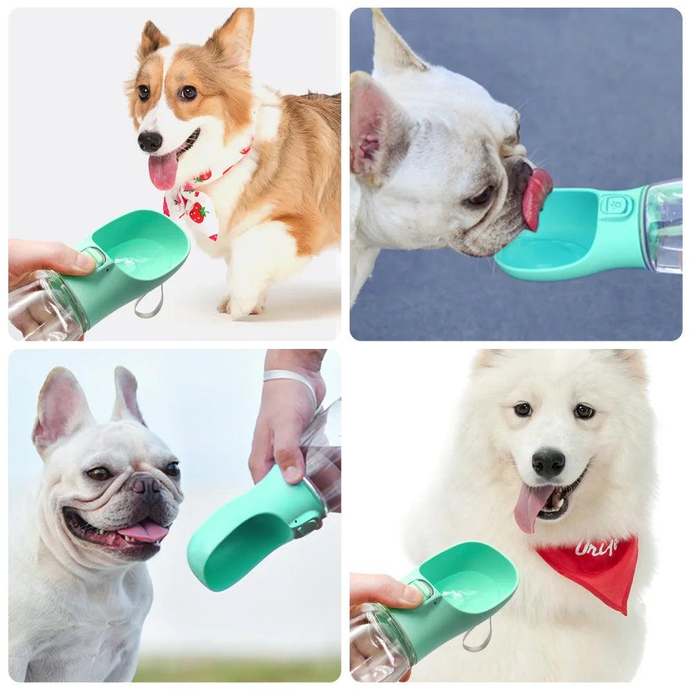 Portable Dog Water Bottle For Small Large Dogs Cat Outdoor Leakproof Walking Drinking Bowls Chihuahua French Bulldog Supplies - IM PERKY Boutique