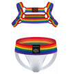 Sexy Mens Harness Underwear Sets Gay Underwear