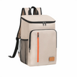 Insulated Backpack Double Shoulder Thickened Portable