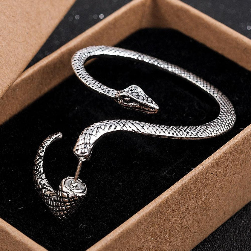 New Fashion Twining Snake Shape Earrings - Lady Vals Vanity