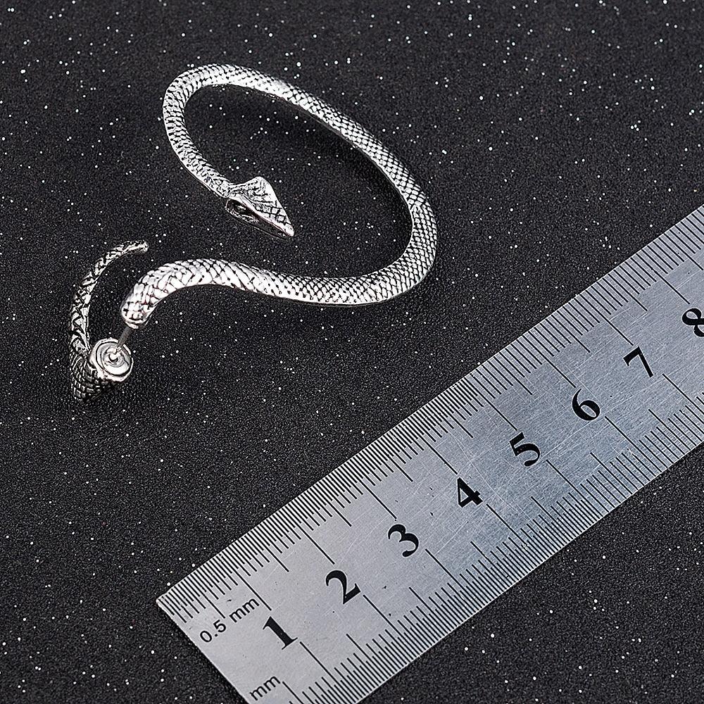 New Fashion Twining Snake Shape Earrings - Lady Vals Vanity