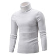 Thick Warm Sweater Men Turtleneck Sweaters Slim Fit Pullover Men Knitwear Male Double collar - 