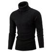 Thick Warm Sweater Men Turtleneck Sweaters Slim Fit Pullover Men Knitwear Male Double collar - 